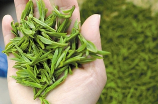 潮汕炒茶屬于什么茶，潮汕炒茶是綠茶嗎？