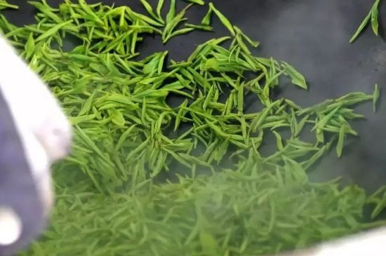 碧螺春為什么泡水渾濁，碧螺春茶葉泡水感覺(jué)很臟是混濁的