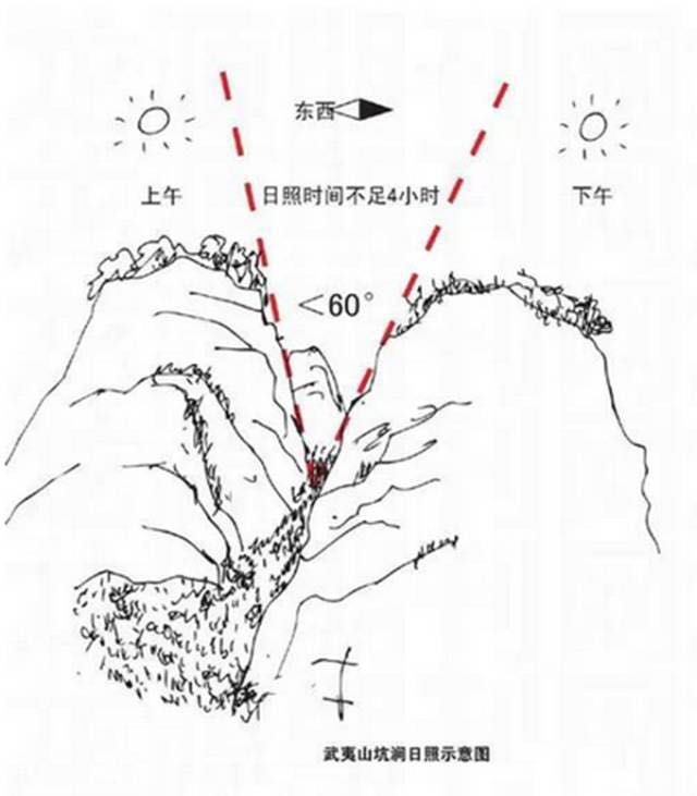 武夷山為什么盛產(chǎn)茶葉，武夷山茶為什么好喝？