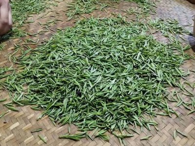 金駿眉幾年可以算陳茶，金駿眉新茶好還是老茶
