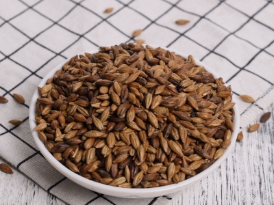 圓形顆粒狀茶是什么茶，像飼料一樣一粒粒的是什么茶？