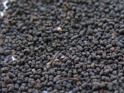 圓形顆粒狀茶是什么茶，像飼料一樣一粒粒的是什么茶？