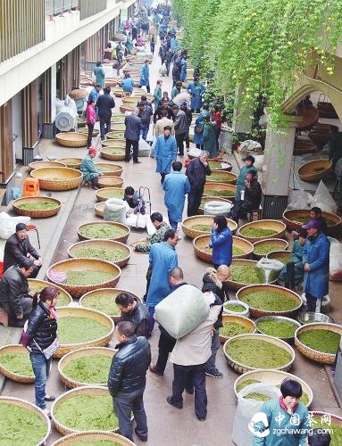 第九屆新昌大佛龍井茶文化節(jié)舉行