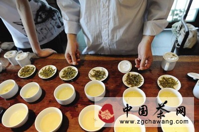 【每日茶報(bào)】中國茶市向左向右 西湖龍井遭遇冷清